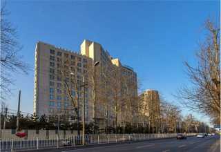 六安商用PVC地板銷售公司